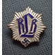 RLB (National Air Raid Protection Union) Pin