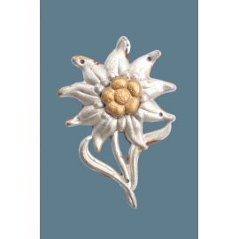 An Edelweiss Badge
