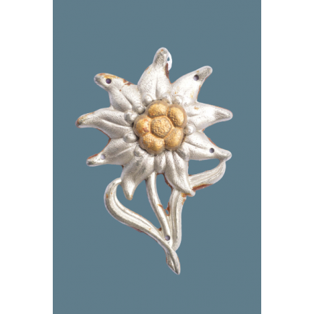 An Edelweiss Badge