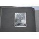 Germany, SA. A Private Photo Album With Members Of Several SA Organisations, C.1930-1934.