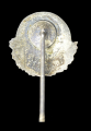 German "V" (Viktoria / V-Aktion) propaganda pin from World War II.