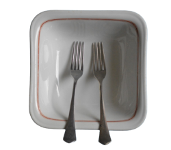 MESS HALL vegetable dish and two forks