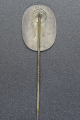 A Rad (National Labour Service) Membership Stick Pin
