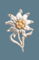 An Edelweiss Badge