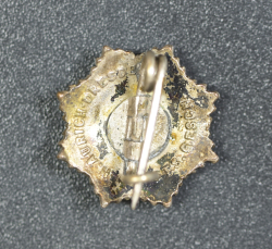 RLB Reichsluftschutzbund stick pin, Reich Air Protection League paramilitary organization